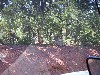 sm_pict0596.jpg