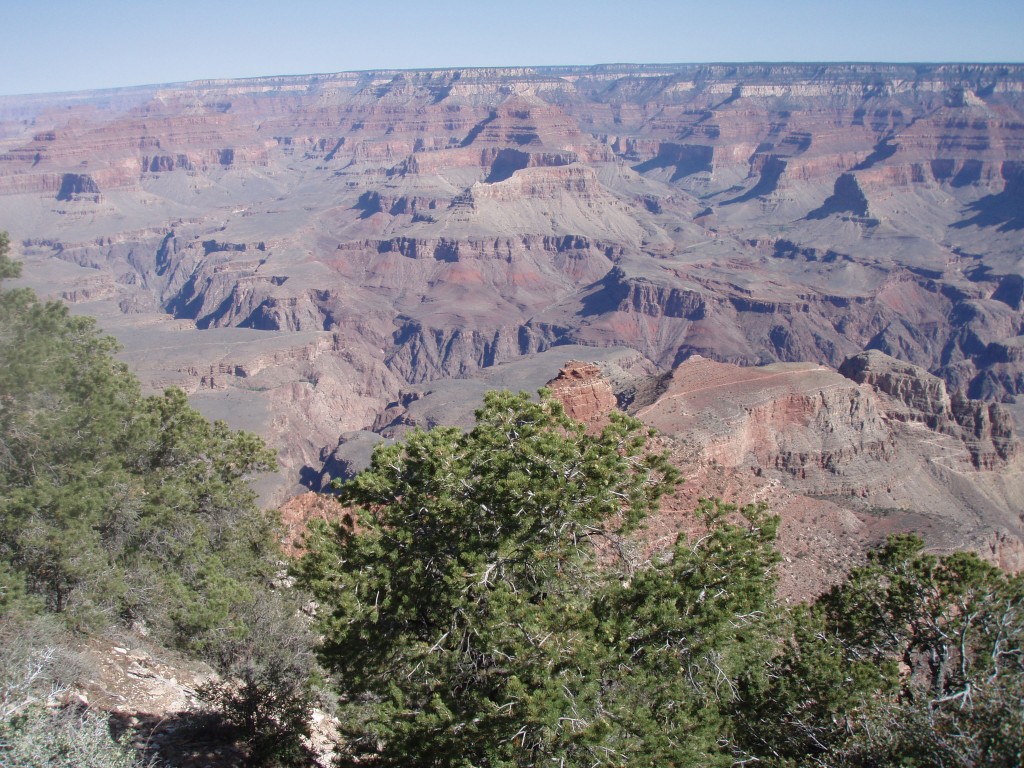 sm_p6081347.jpg