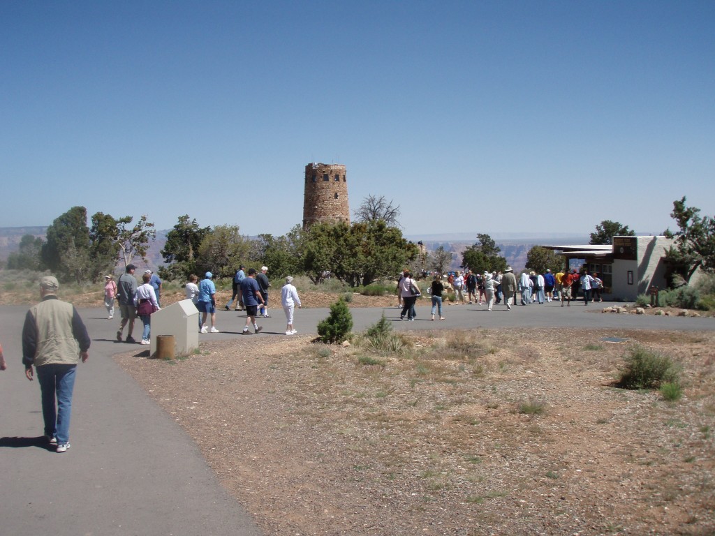 sm_p6081406.jpg
