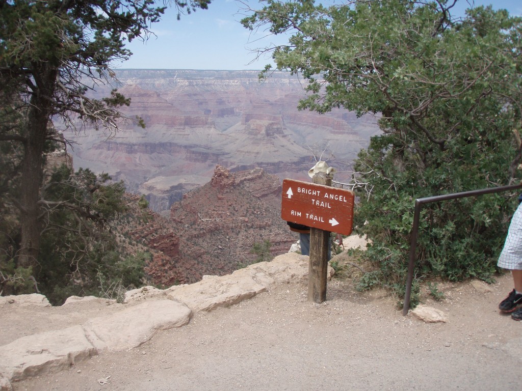 sm_p6081454.jpg