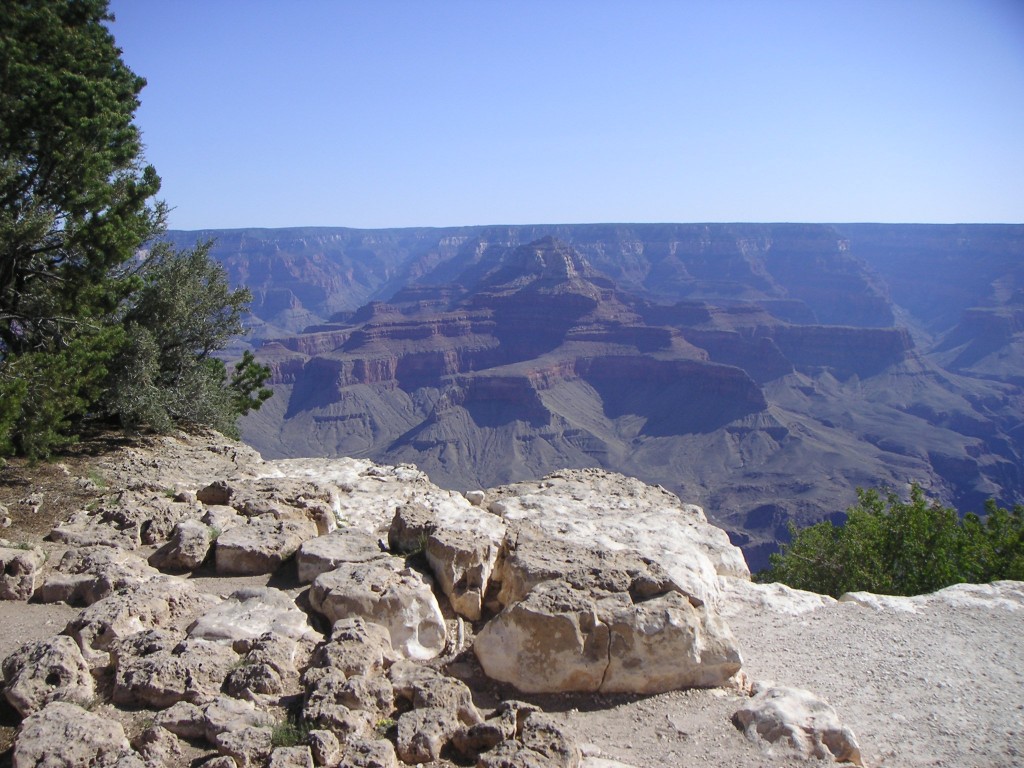 sm_pict0681.jpg