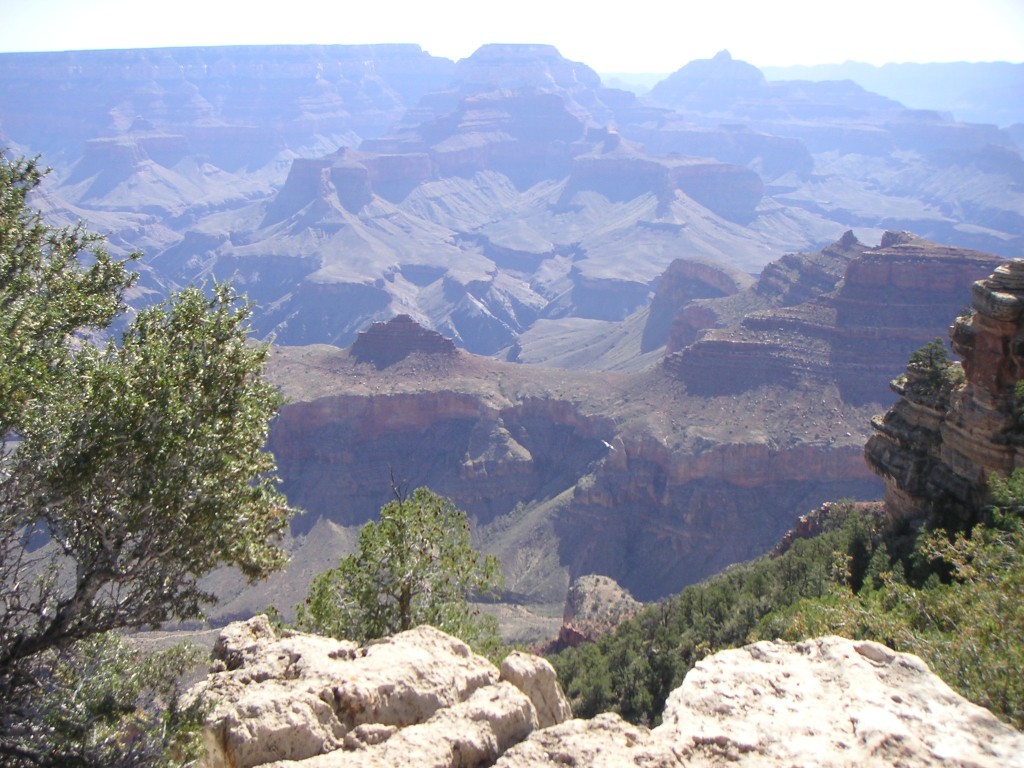 sm_pict0696.jpg