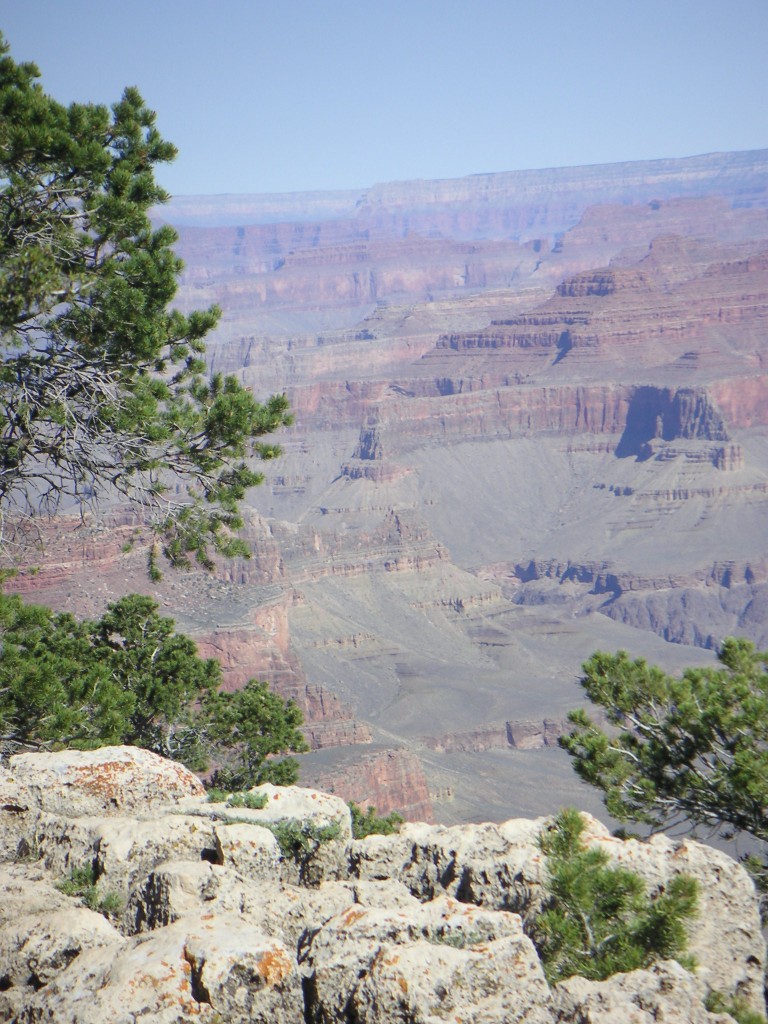 sm_pict0703.jpg