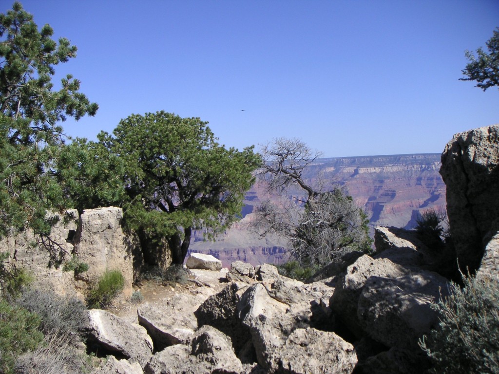 sm_pict0709.jpg