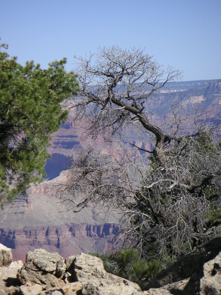 sm_pict0710.jpg