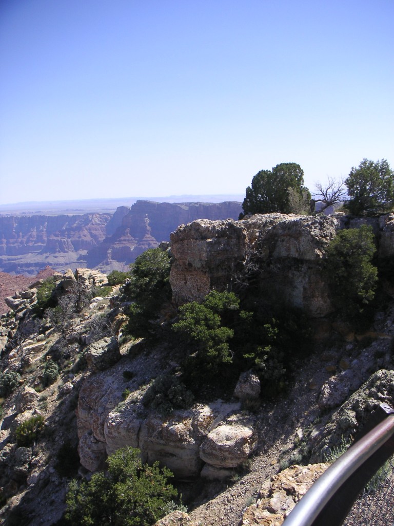 sm_pict0719.jpg