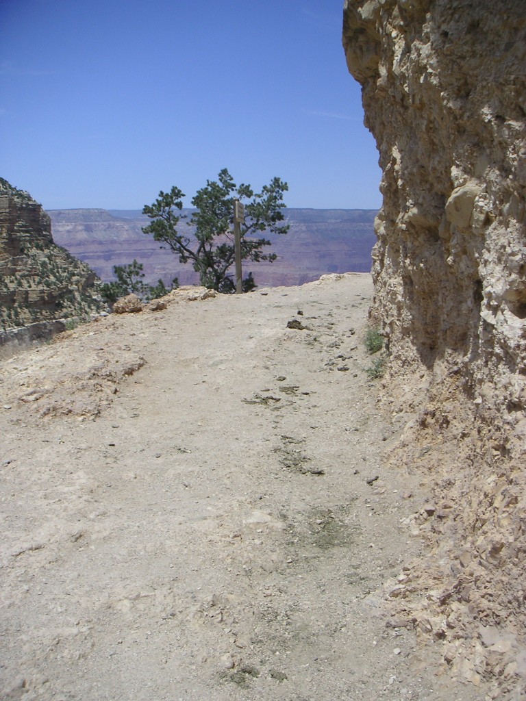 sm_pict0843.jpg