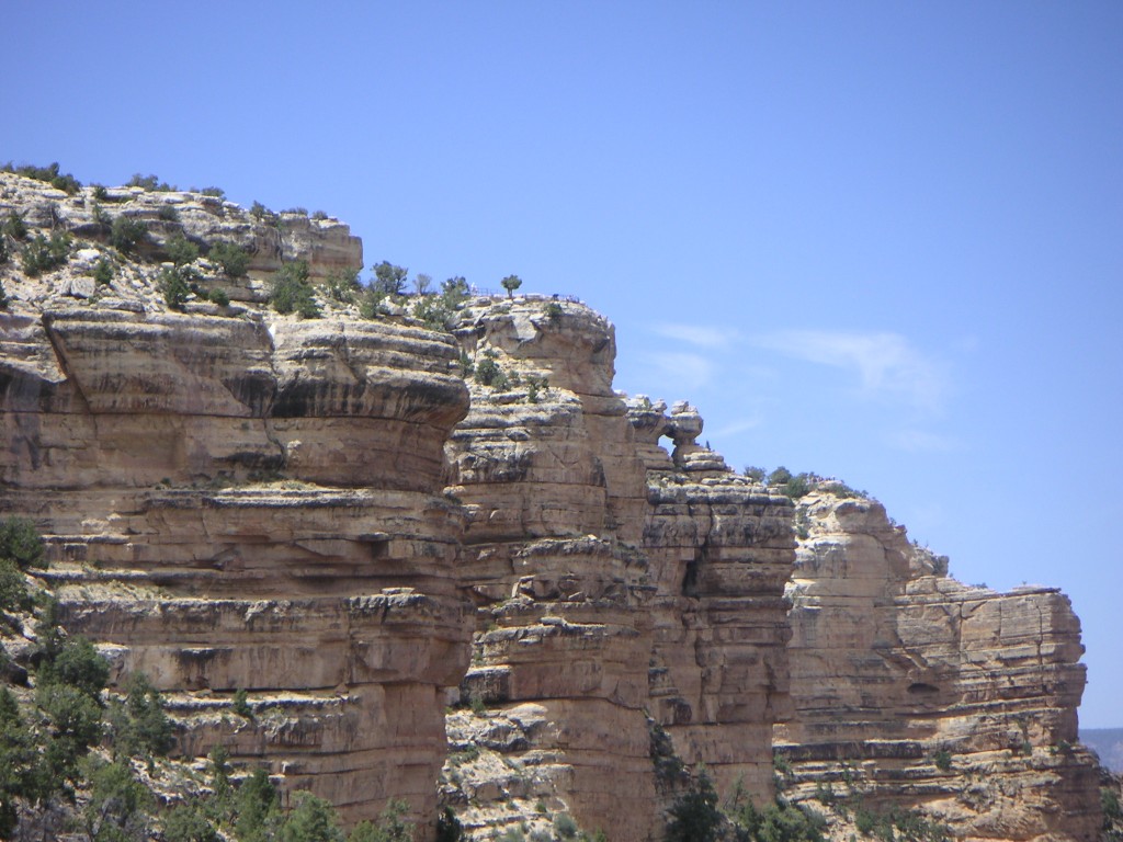 sm_pict0866.jpg