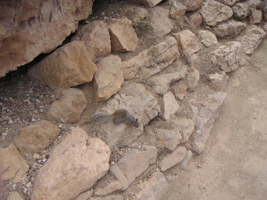 sm_pict0881.jpg