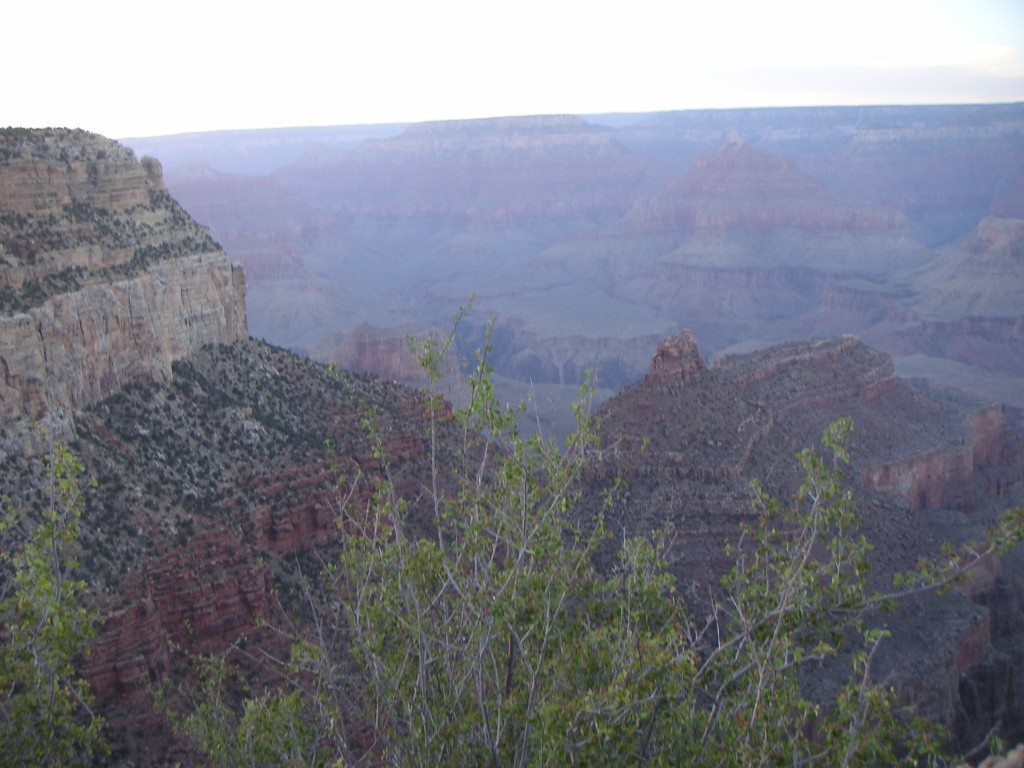 sm_pict0934.jpg