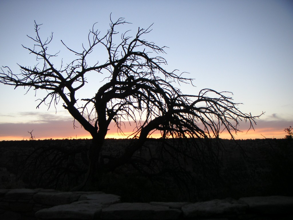 sm_pict0988.jpg