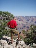sm_p6081366.jpg