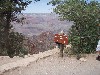 sm_p6081454.jpg