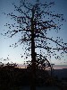 sm_p6081498.jpg