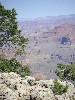 sm_pict0703.jpg
