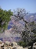 sm_pict0710.jpg