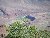 sm_pict0749.jpg