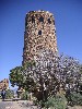 sm_pict0776.jpg