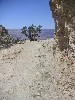 sm_pict0843.jpg