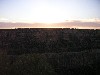 sm_pict0936.jpg