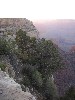 sm_pict0951.jpg