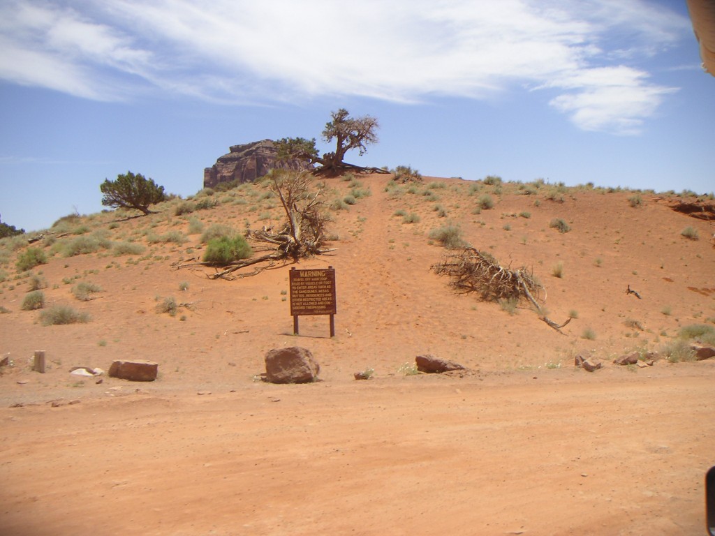 sm_pict1110.jpg