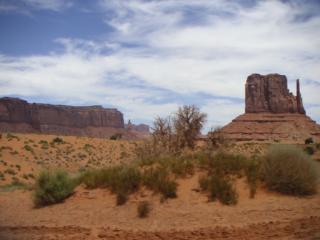 sm_pict1111.jpg