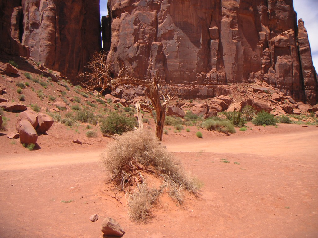 sm_pict1209.jpg