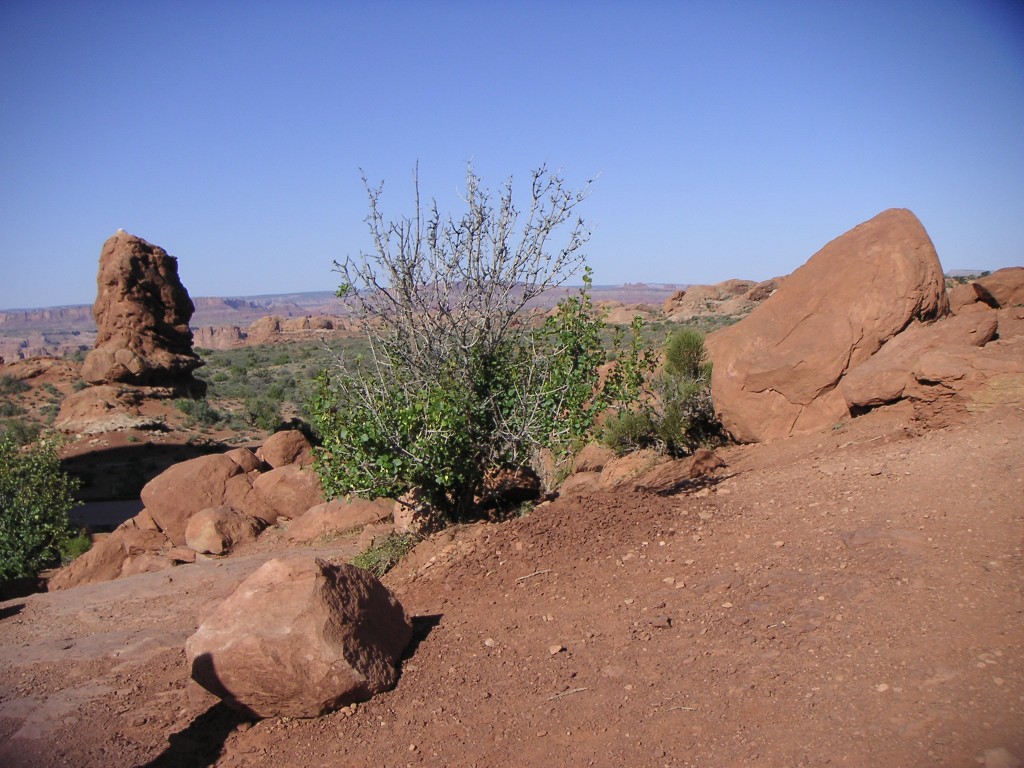 sm_pict1494.jpg