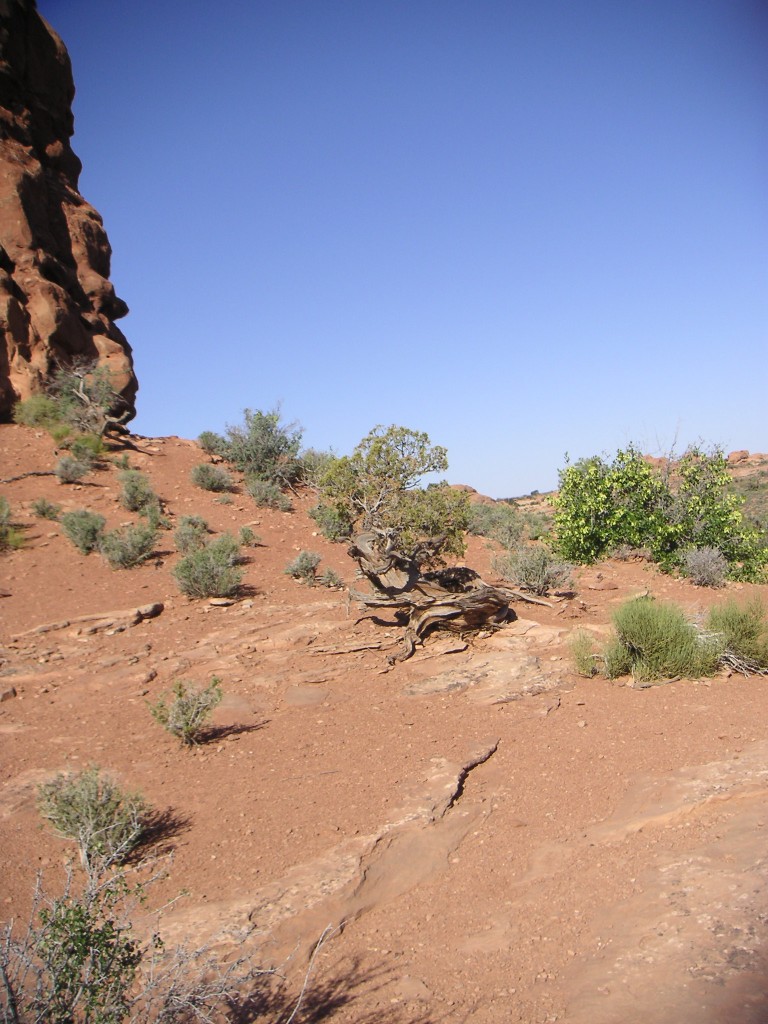 sm_pict1498.jpg