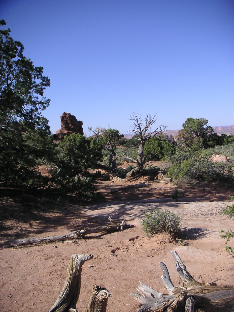 sm_pict1506.jpg