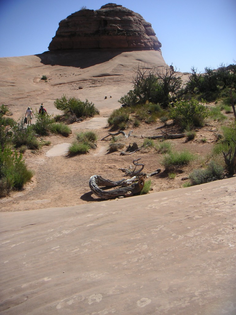 sm_pict1588.jpg