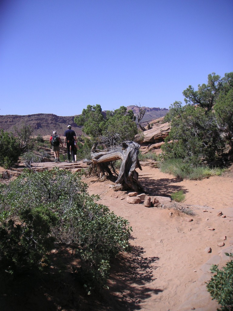 sm_pict1663.jpg