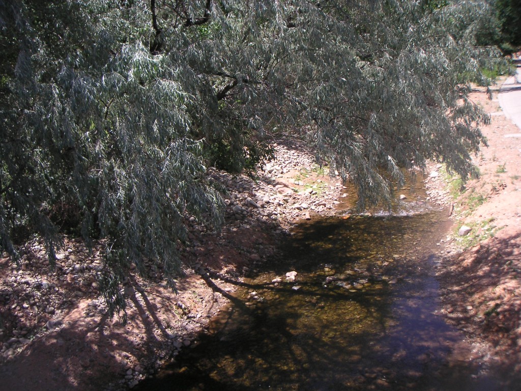 sm_pict1719.jpg
