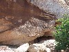 sm_p6101710.jpg