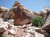 sm_p6101711.jpg