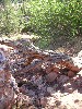 sm_pict1549.jpg