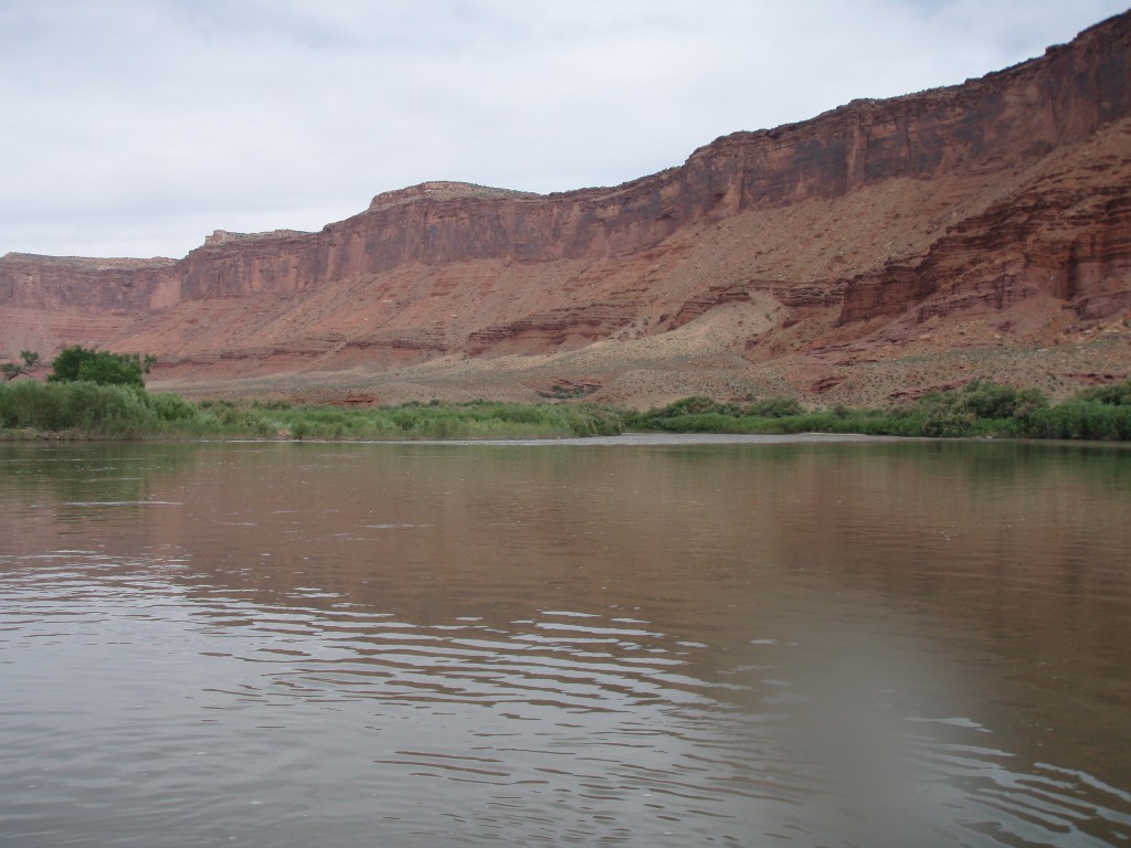 sm_p6111741.jpg