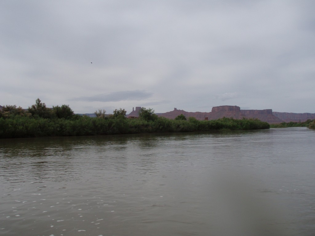 sm_p6111744.jpg