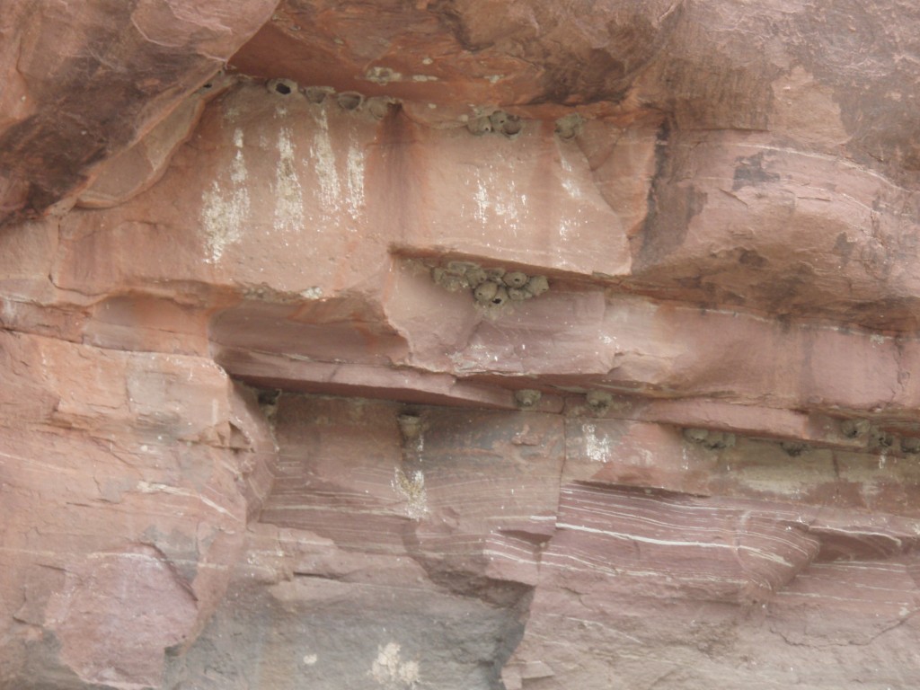 sm_p6111765.jpg