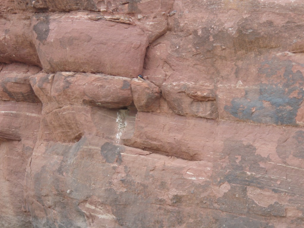 sm_p6111768.jpg