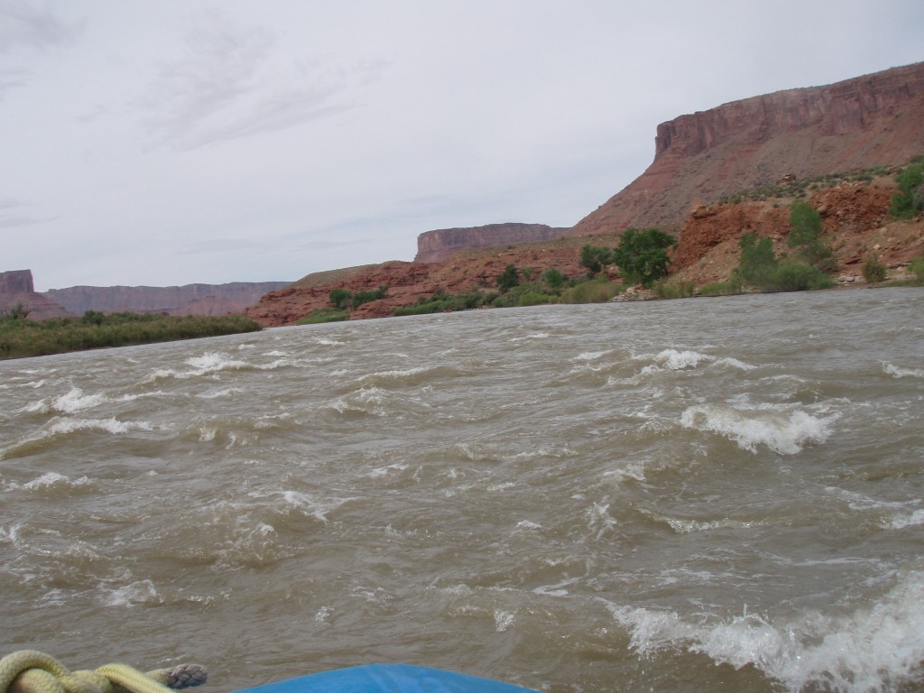 sm_p6111795.jpg