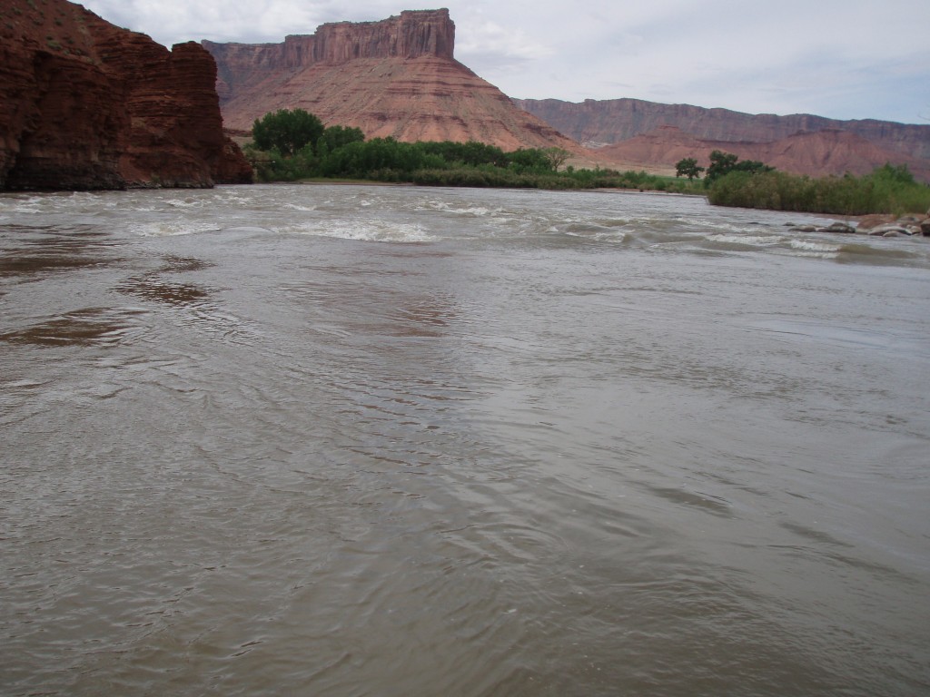 sm_p6111856.jpg