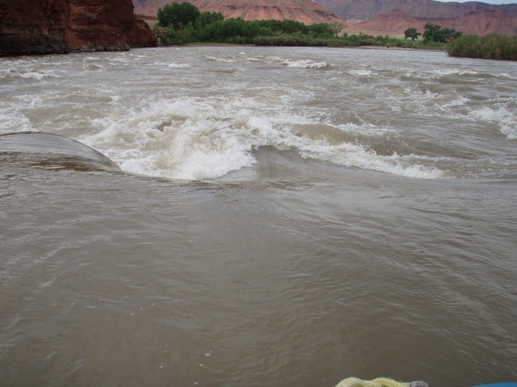 sm_p6111857.jpg