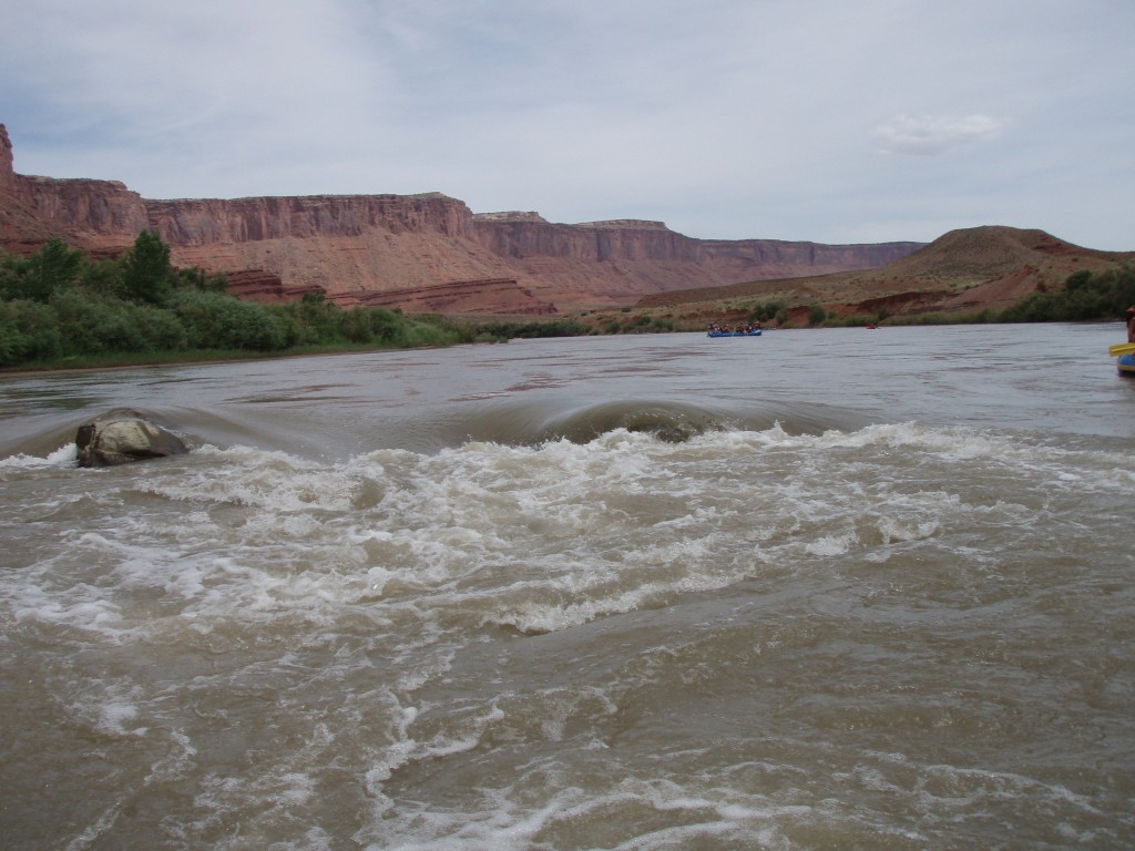 sm_p6111858.jpg