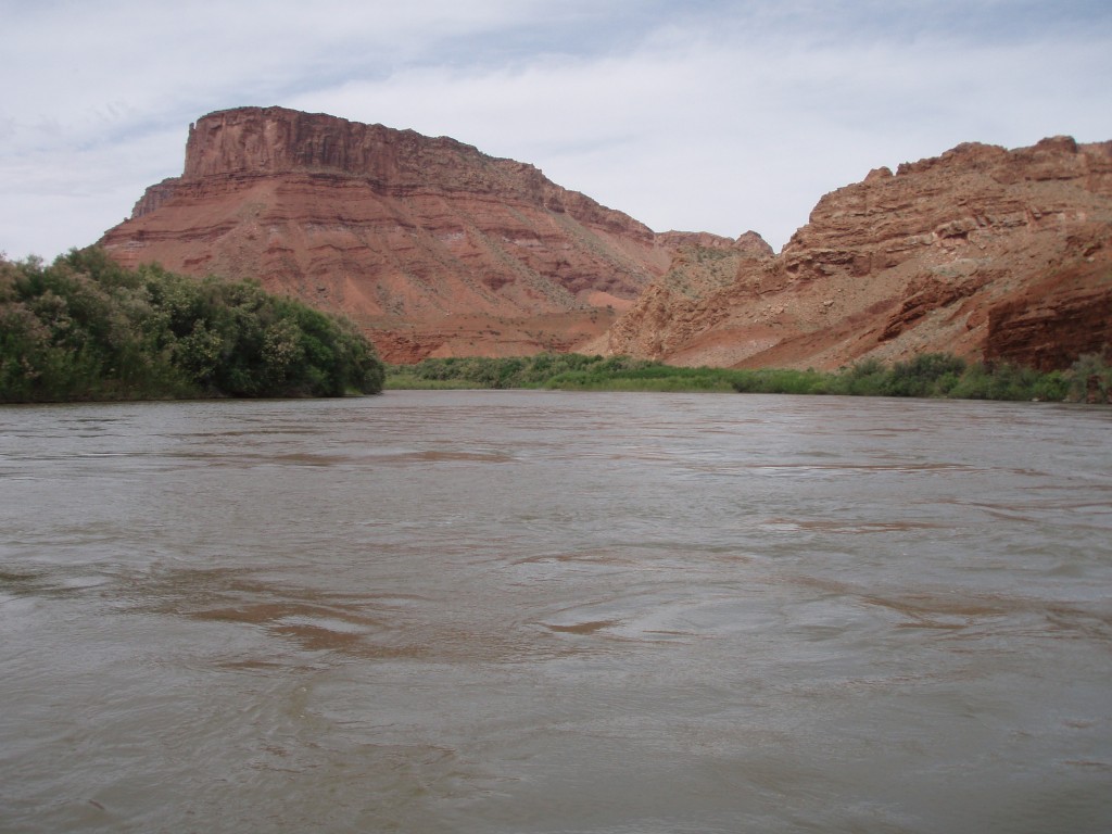 sm_p6111865.jpg