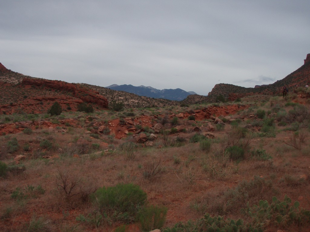 sm_p6111909.jpg