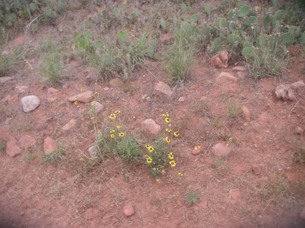 sm_pict1820.jpg