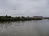 sm_p6111744.jpg