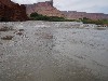 sm_p6111856.jpg